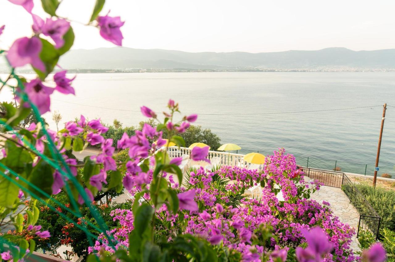 Villa Fjaba - By The Sea - With The Big Terraces & Great Sea View トロギール エクステリア 写真